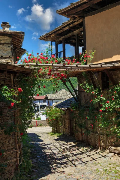 Bulgaristan 'ın Blagoevgrad Bölgesi, Otantik 19. yüzyıl evleriyle Kovaçevitsa köyü