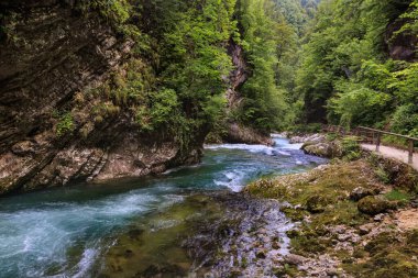 River in green forest in Canyon Vintgar, Triglav - Slovenya, Alpler. Vintgar Vadisi 'nin içinde ahşap bir patikada yürüyen turistler.