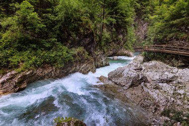 River in green forest in Canyon Vintgar, Triglav - Slovenya, Alpler