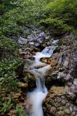 yosunlu kayalar üzerinde çalışan orman akarsu