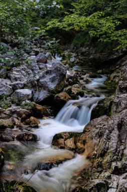 yosunlu kayalar üzerinde çalışan orman akarsu