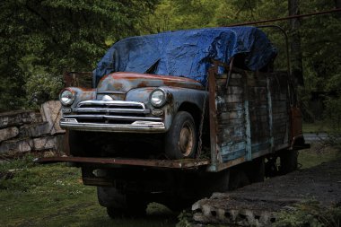 A rusty vintage car loaded onto a weathered wooden truck, partially covered with a blue tarp, surrounded by greenery, evoking a sense of abandonment and history. clipart