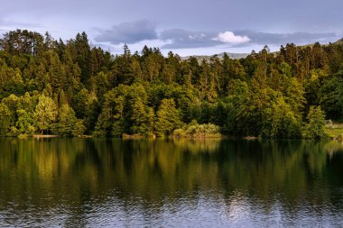 Slovenya 'daki Bled Gölü' nün çarpıcı manzarası, yemyeşil ormanlarla çevrili ve güzel manzarayı yansıtıyor. Sakin su bir ayna etkisi yaratır, dinginliği ve manzarayı güçlendirir..