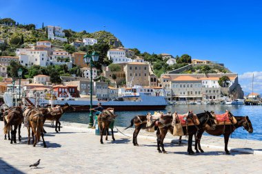 Yunanistan, Hydra - Nisan 06, 2025 - Yunanistan 'ın Hydra Adası liman güvertesinde duran eşekler, açık bir yaz gökyüzü altında geleneksel evler, botlar ve mavi denizle.