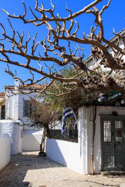 Yunanistan 'ın Hydra Adası' nda sakin bir sokak. Duvarları boyanmış, budanmış bir ağaç, yeşil bir kapı ve parlak mavi gökyüzünün altında dalgalanan Yunan bayrağı..