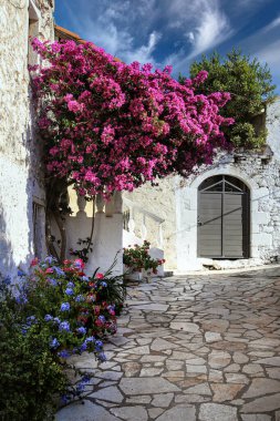 Eski Afionas köyünde beyaz antik Yunan evleri ve canlı pembe bougainvillea çiçekleri ile Picturesque caddesi