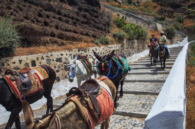 Santorini, Yunanistan, 27 Mayıs 2019 - Yanardağ manzarası ve kuru bitki örtüsüyle çevrili Yunanistan 'ın Santorini kentindeki ikonik kaldırım yolunda yürüyen turistler için taşıma aracı olarak kullanılan renkli eşekler.