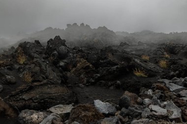 Volkanik lavın dokusu. Etna Dağı. Sicilya. Yüksek kalite fotoğraf