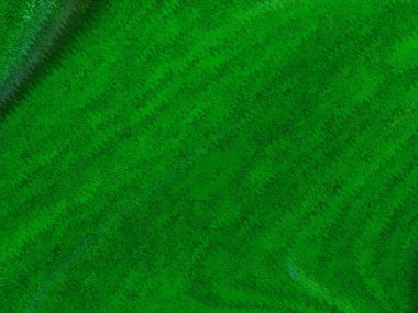 Ormanda yeşil ağaçlar