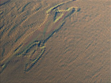 Renkli dinamik dalgaların bulanık arkaplanı olan soyut bir arkaplan. Dalga tasarımı için uygun tasarım