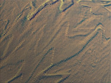 Renkli dinamik dalgaların bulanık arkaplanı olan soyut bir arkaplan. Dalga tasarımı için uygun tasarım