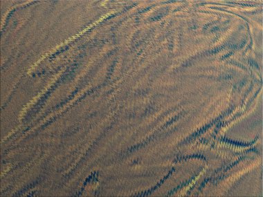 Renkli dinamik dalgaların bulanık arkaplanı olan soyut bir arkaplan. Dalga tasarımı için uygun tasarım