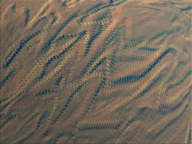 Renkli dinamik dalgaların bulanık arkaplanı olan soyut bir arkaplan. Dalga tasarımı için uygun tasarım