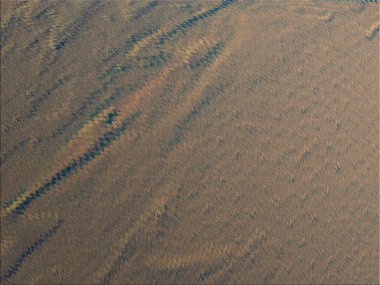 Renkli dinamik dalgaların bulanık arkaplanı olan soyut bir arkaplan. Dalga tasarımı için uygun tasarım