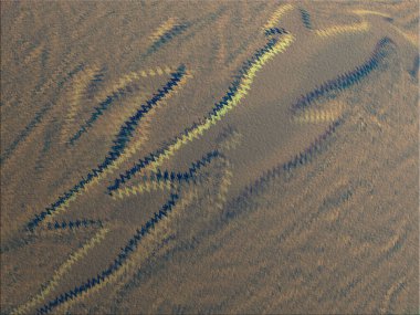 Renkli dinamik dalgaların bulanık arkaplanı olan soyut bir arkaplan. Dalga tasarımı için uygun tasarım