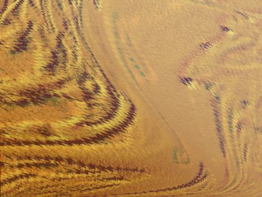 Renkli dinamik dalgaların bulanık arkaplanı olan soyut sarı eğimli arkaplan. Dalga tasarımı için uygun görüntü