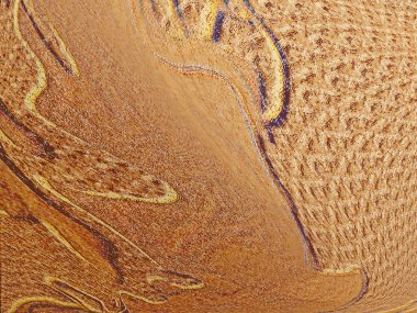 Renkli dinamik dalgaların bulanık arkaplanı olan soyut sarı eğimli arkaplan. Dalga tasarımı için uygun görüntü