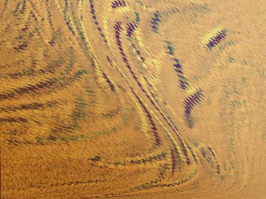 Renkli dinamik dalgaların bulanık arkaplanı olan soyut sarı eğimli arkaplan. Dalga tasarımı için uygun görüntü