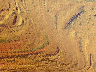 Renkli dinamik dalgaların bulanık arkaplanı olan soyut sarı eğimli arkaplan. Dalga tasarımı için uygun görüntü