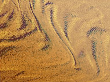 Renkli dinamik dalgaların bulanık arkaplanı olan soyut sarı eğimli arkaplan. Dalga tasarımı için uygun görüntü