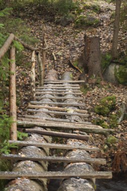 Ormandaki basit tahta köprü.