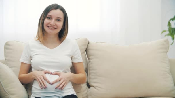 Hamile Bir Kadının Elleriyle Kalp Şekli Oluşturduğu Video Hamile Kadın — Stok video
