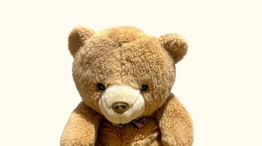 Ayı oyuncağı beyaz arkaplanda izole edildi, kapat