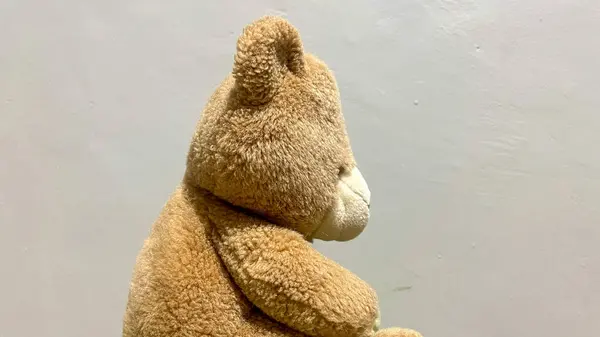 Oyuncak ayının sağ tarafa bakan sevimli bir fotoğrafı.