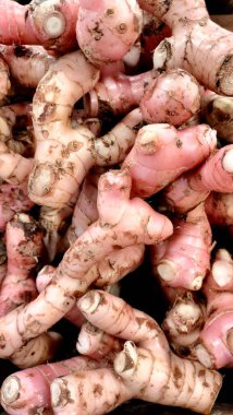 Galangal köklerinin yakın çekimi. Galangal 'ın tam kare fotoğrafı, Galangal' ın hem antienflamatuar hem de anti-mantar özelliklerine sahip olduğu gösterilmiştir. 