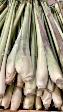 Çiftlikten taze taze sebzelerin tam kare fotoğrafı. Limon yaprağı hasadı markete istiflenmiş. Genellikle bitkisel doğu tıbbı ve yemek pişirmek için kullanılır.