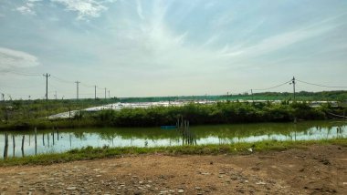 Parktaki nehrin güzel manzarası