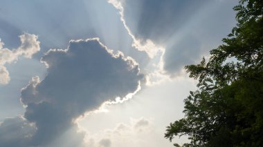 Bulutların ve yeşil yaprakların güzelliği