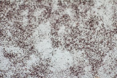 Grunge Doku. Tek renkli retro grunge doku çizimi. Eski paslı soyut arkaplan. Posterlerin ve tasarımların kullanılması için. Oluşturmak için beton zemin arka planının dokusu.