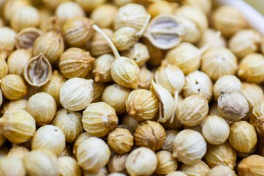 Temizlenmiş kurutulmuş kişniş (Dhaniya) tohum arkaplan dokusu, desen. Kurutulmuş kişniş taneleri, çekirdekler. Düz yatıyordu. Yemek konsepti geçmişi. Pişirmede baharat olarak kullanılan çiğ kişniş tohumu..