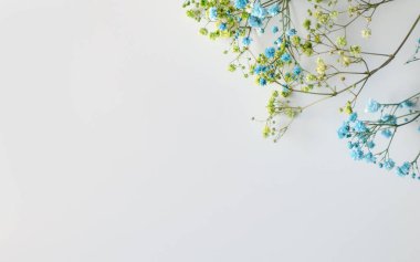 Sağ üst köşedeki beyaz masada yeşil-mavi çingene çiçekleri. Çingene çiçekleri. Üst Manzara. Sunum için harika. Duvar kağıdı. Geçmişi. Sunum. Doku