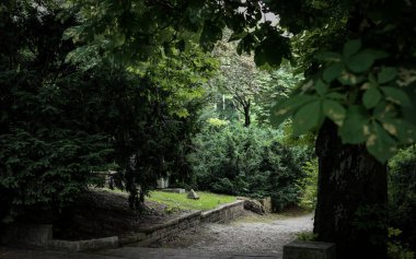 Karanlık bir parkta ışık. Yolda bir ışık. Bir yol. Park