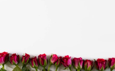 Masadaki kırmızı güller. Altta.