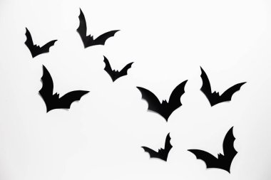 Beyaz arka planda yarasalar. Cadılar Bayramı için hazırlanılıyor