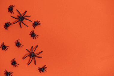 Turuncu arka planda örümceklere yakın çekim. Üst Manzara. Cadılar Bayramı geçmişi için