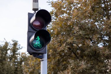 Yeşile dönen bir trafik ışığının yakın çekimi. Sonbahar