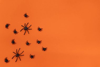 Cadılar Bayramı geçmişi, parlak turuncu arka planda siyah örümcekler. Cadılar Bayramı atmosferi.