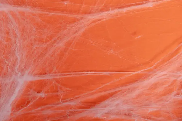 stock image Close-up of a spider web on an orange background