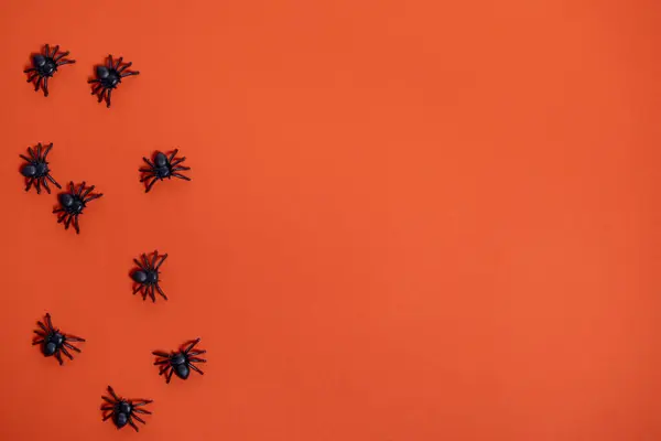 stock image Close-up of spiders on orange background. Top view. For Halloween backgrounds