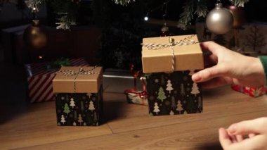 Bir kız yılbaşı hediyelerini açıyor ve yılbaşı balosu düzenliyor. Yeni Yıl ve Noel