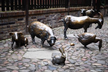 Wroclaw, Polonya - 25 Ocak 2025: Wroclaw 'daki Katledilmiş Hayvanlar Anıtı' ndan Bronz Horoz (Pomnik Zwierzt Rzenych we Wrocawiu) 