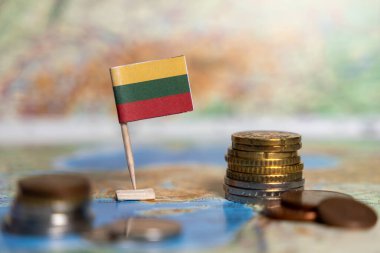 Litvanya bayrağının dünya haritasında sikkeleri, Litvanya ekonomisini, finansal kalkınmayı, küresel ticareti, ekonomik büyümeyi, yatırımı ve uluslararası ticareti temsil etmektedir.