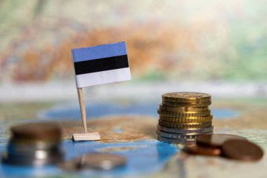 Bir dünya haritasında istiflenmiş sikkeleri olan Estonya bayrağı, Estonya ekonomisini, mali istikrarı, ticareti, bankacılığı, küresel pazar bağlantılarını, yatırımı ve ihracatını sembolize etmektedir.