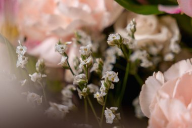 Küçük çiçekleri ve ince yeşil sapları ile narin beyaz çiçekler yumuşak pastel yapraklar arasında zarif bir şekilde düzenlenmiş, rüya gibi ve romantik bir çiçek kompozisyonu oluşturur