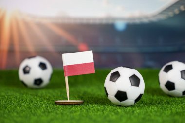 Spor kültürünü, takım çalışmasını ve milli gururu temsil eden yeşil çimenler ve stadyumdaki futbol toplarının ulusal bayrağıyla Polonya futbolu teması