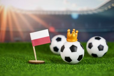 Polonya futbol sahnesi ulusal bayrak, futbol topları yeşil sahada ve stadyum arka planında, spor tutkusu ve ulusal gururu sembolize ediyor